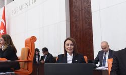 Havva Sibel Söylemez, TBMM Katip Üyeliğine Yeniden Seçildi