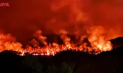Orman Yangınlarında 44 Gözaltı, 10 Tutuklama