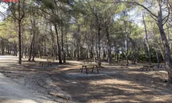 Mersin’de Ormanlık Alanlara Girişler Yasaklandı