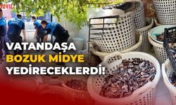 Akdeniz’de 200 Kilo Bozuk Midye Ele Geçirildi
