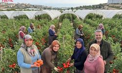 MHP’li Uysal’dan Kadın Çiftçiye Destek Çağrısı