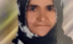 Otomobilin Çarptığı 72 Yaşındaki Kadın Hayatını Kaybetti