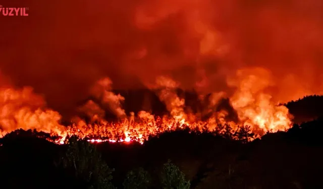 Orman Yangınlarında 44 Gözaltı, 10 Tutuklama
