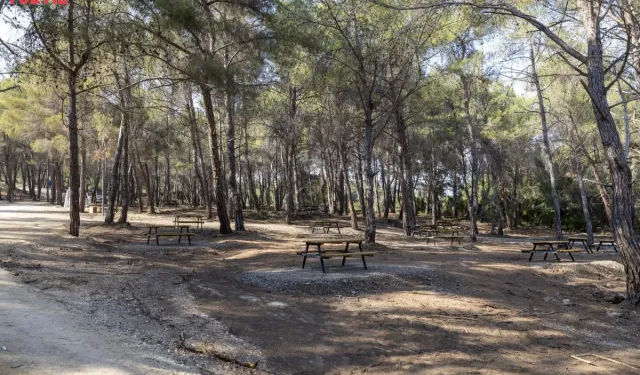 Mersin’de Ormanlık Alanlara Girişler Yasaklandı
