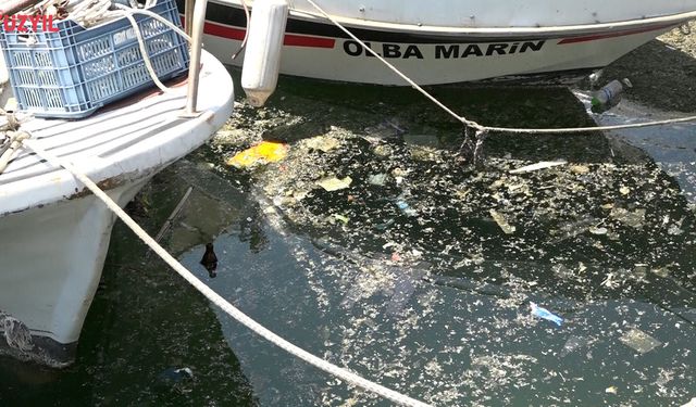 Mersin'de Deniz Kirliliği Sorunu Çözüm Bekliyor