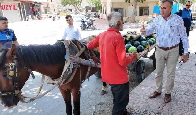 Sosyal Medya Seferber Oldu! Bitkin At Yeni Yuvasına Kavuşuyor
