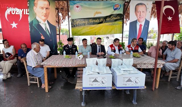 Akdeniz'de Meyve Sineğiyle Mücadele Sürüyor