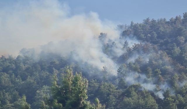 Aydıncık'ta Orman Yangınına Müdahale Sürüyor