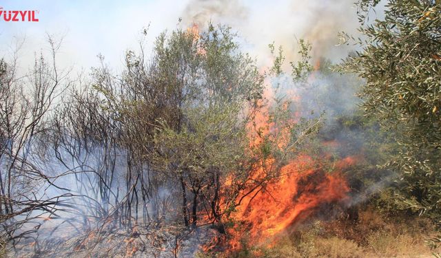 Mersin'de Şiddetli Rüzgar ve Yangın Riski Uyarısı