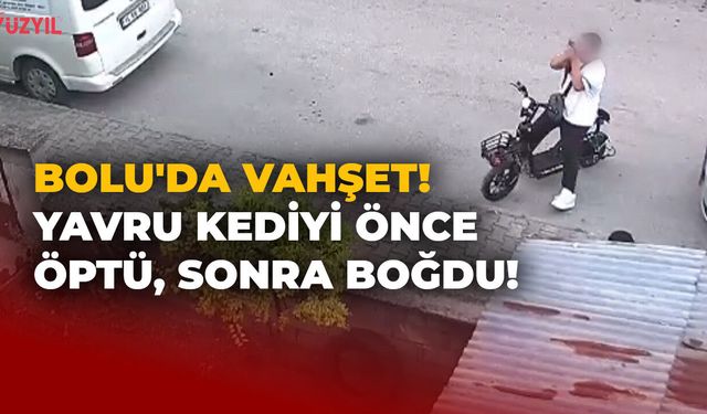 Bolu'da Vahşet! Yavru Kediyi Önce Öptü, Sonra Boğdu!