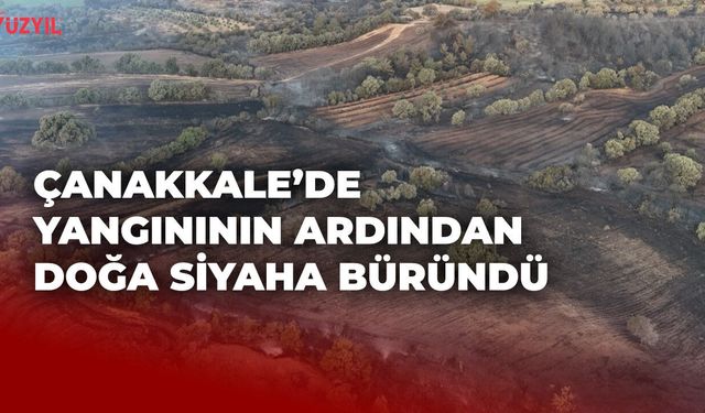 Çanakkale'deki Orman Yangınının Ardından Doğa Siyaha Büründü