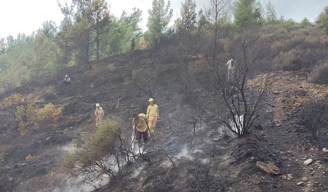 Bozyazı’da Çıkan Yangın Söndürüldü