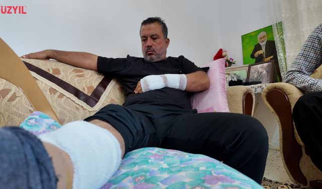Erdemli’de Köpek Saldırısı Hastanelik Etti