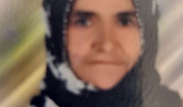 Otomobilin Çarptığı 72 Yaşındaki Kadın Hayatını Kaybetti