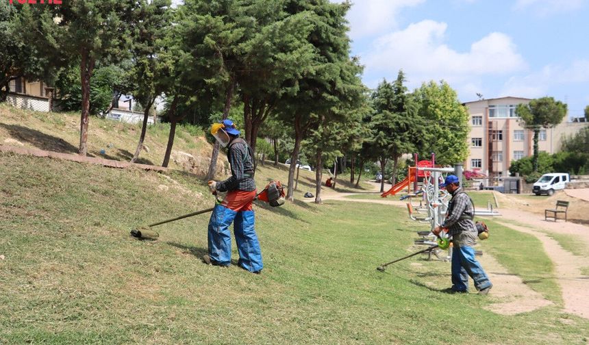 Toroslar'da Temizlik ve Yeşil Alan Çalışmaları