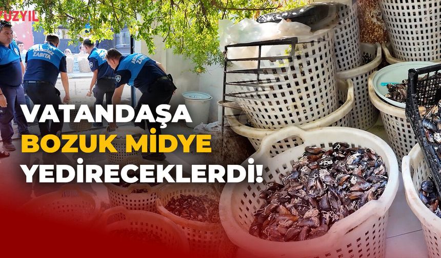 Akdeniz’de 200 Kilo Bozuk Midye Ele Geçirildi