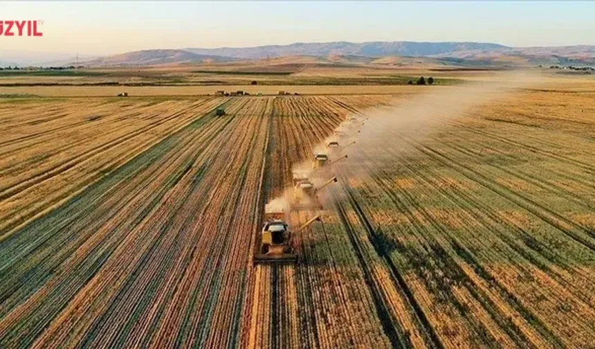 Tarım ÜFE Eylül’de Aylık Geriledi, Yıllık Arttı